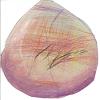 Phoenix Egg